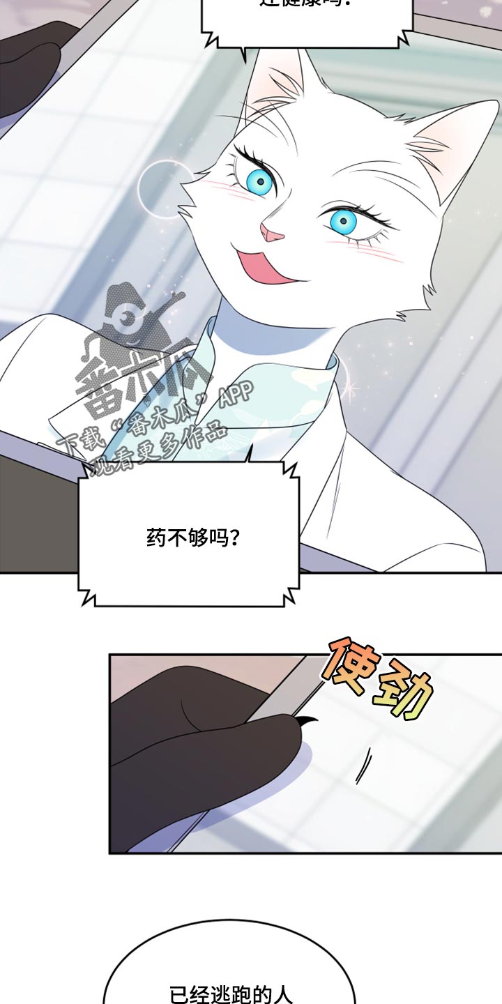 灵猫欧米伽虐不虐漫画,第57章：【第二季】新来的2图