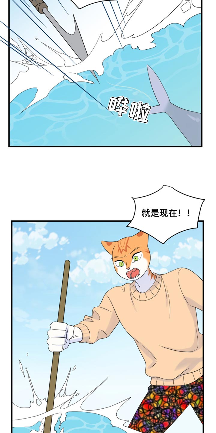 灵猫欧米伽漫画作者漫画,第68章：【第二季】狩猎本能2图