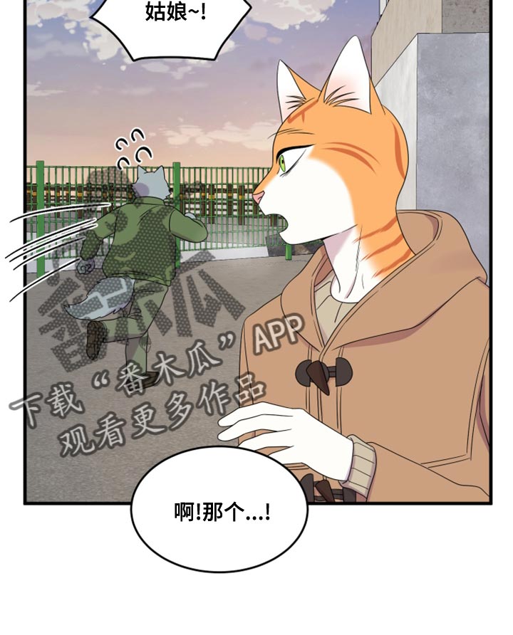 灵猫欧米伽漫画免费观看漫画,第102章：【第二季】不想困着你2图