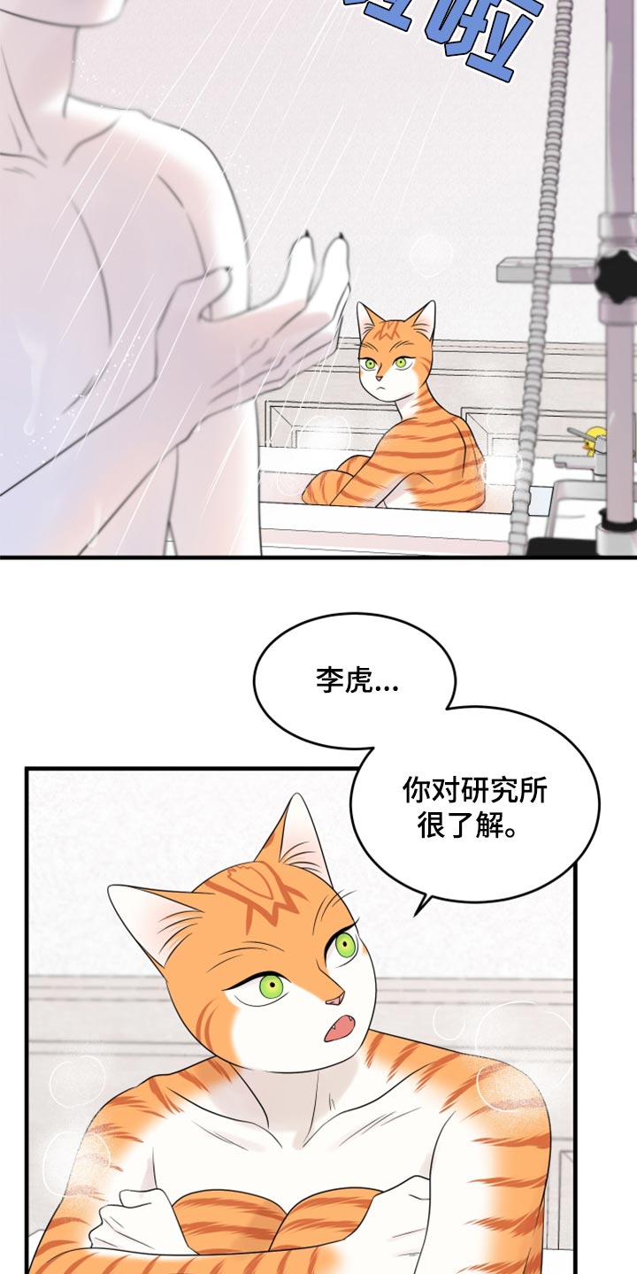 欧米伽3对猫咪有什么作用漫画,第69章：【第二季】责任与义务2图