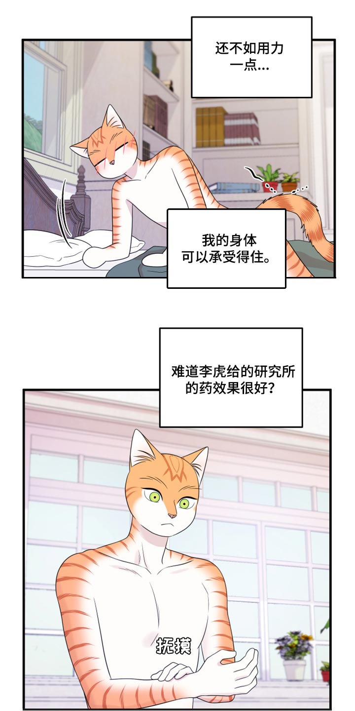 灵猫欧米茄画涯漫画,第73章：【第二季】绑架灵猫2图