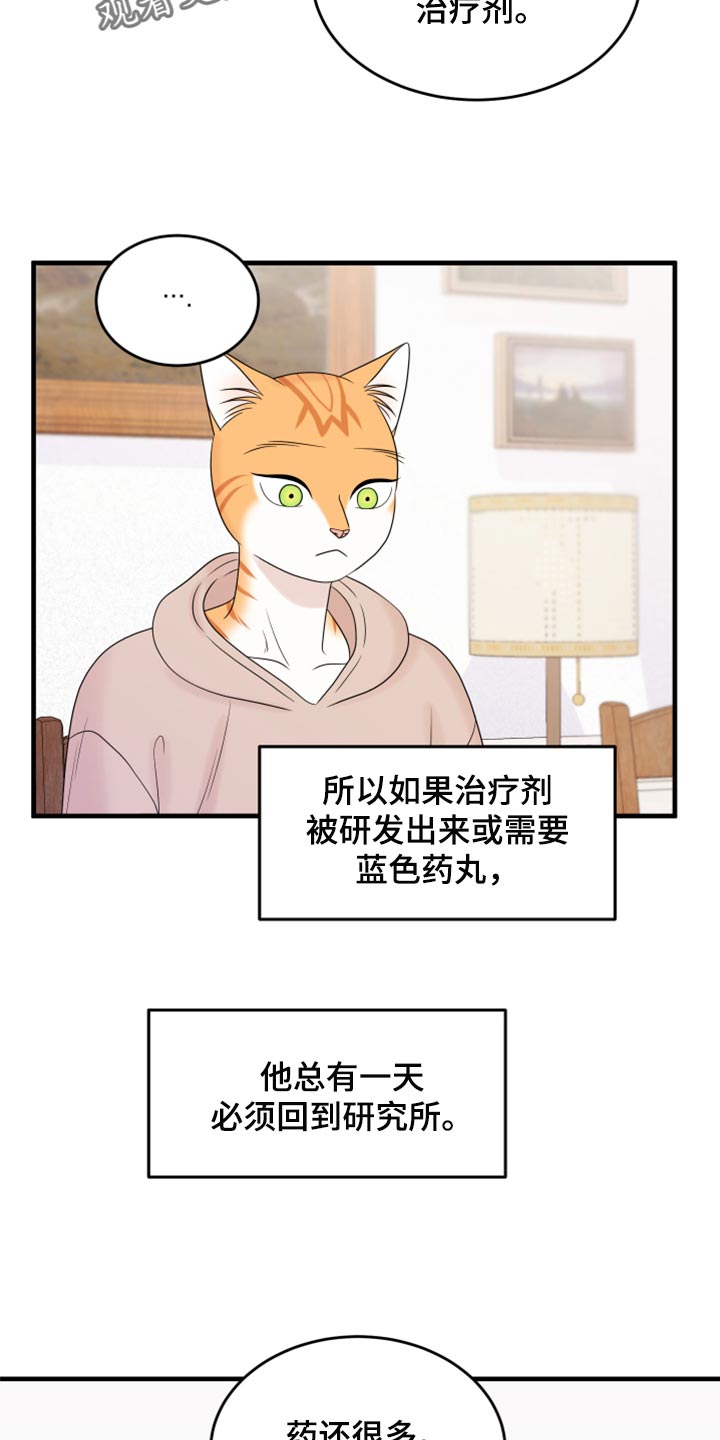 omega猫漫画,第73章：【第二季】绑架灵猫1图