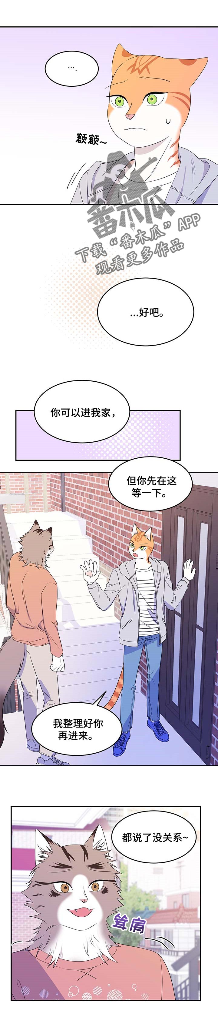 灵猫欧米伽第三季什么时候出漫画,第18章：芳香剂1图