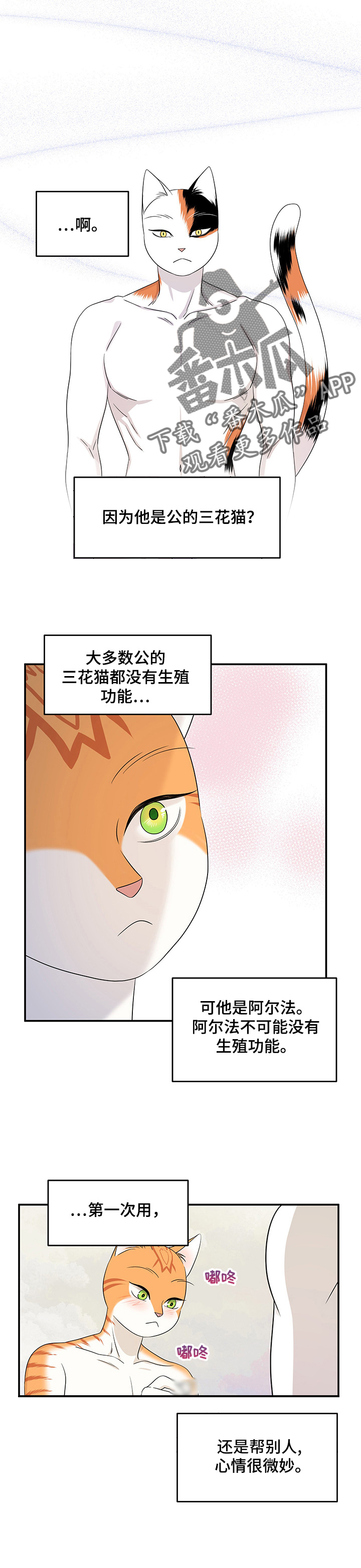 灵猫欧米伽完整版漫画,第13章：教我1图