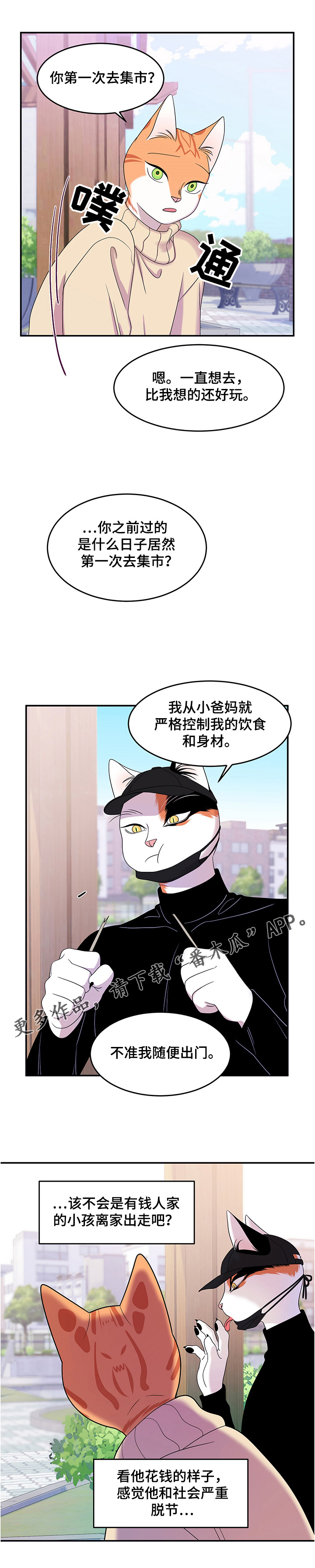 灵猫欧米伽3漫画,第9章：集市2图