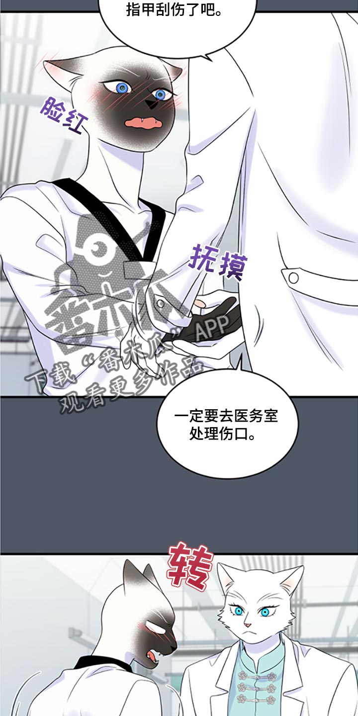 欧米伽3对猫咪有什么作用漫画,第77章：【第二季】一定要在一起！1图