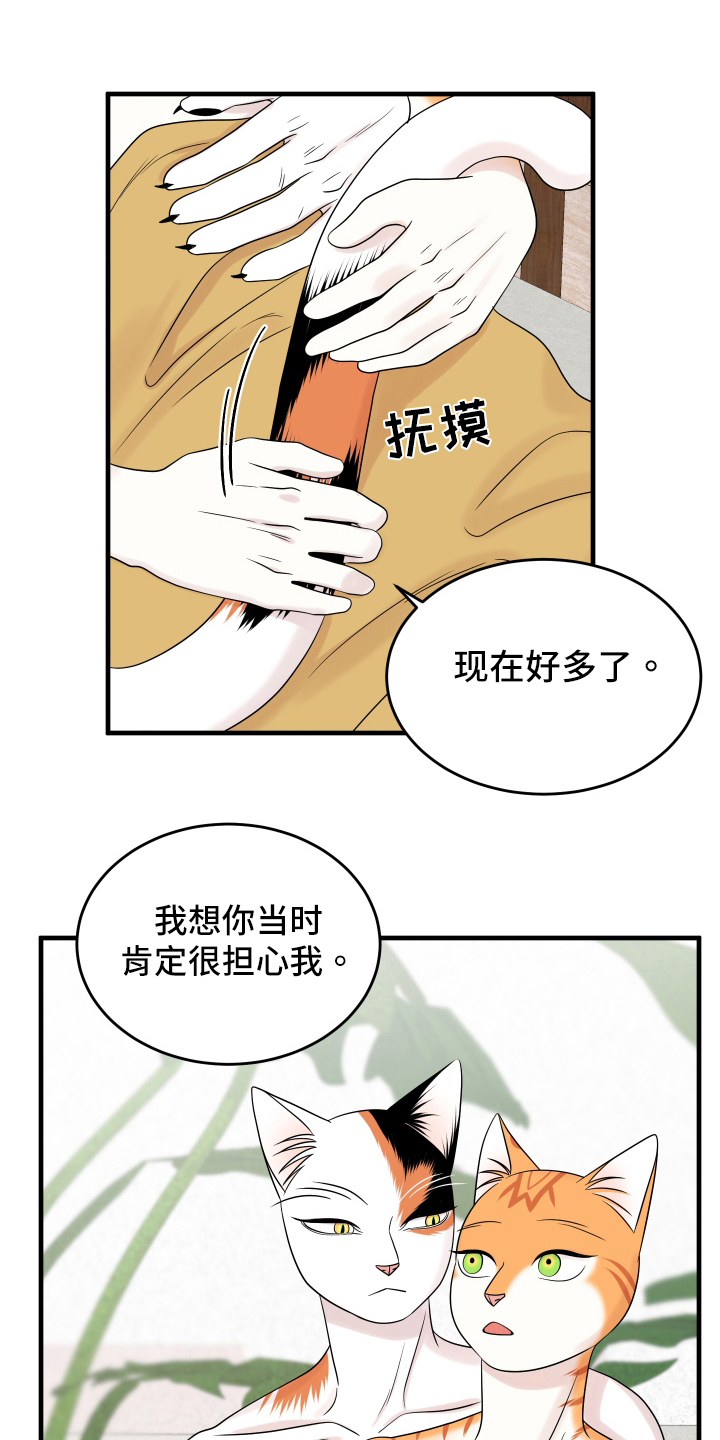 灵猫传手游漫画,第105章：【第二季】分析2图