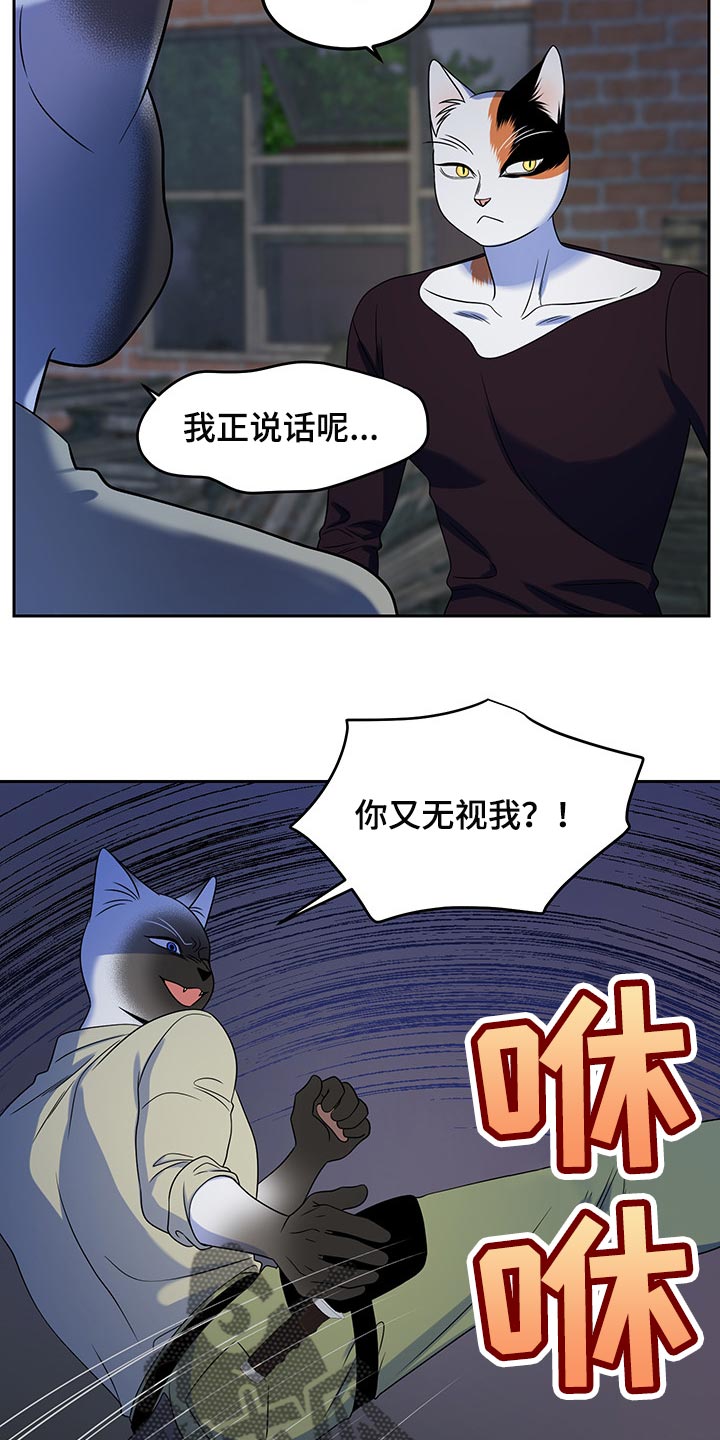 灵猫欧米伽大结局漫画,第39章：撤离1图