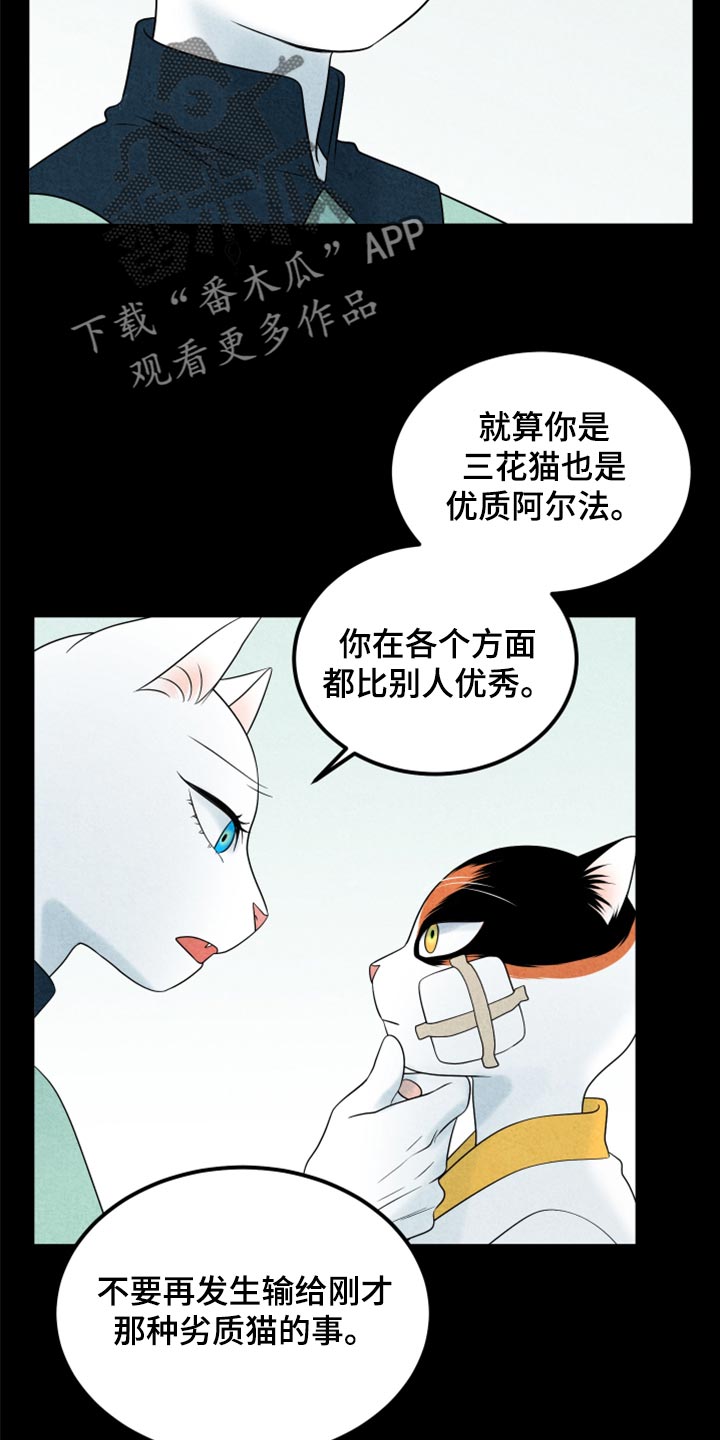 灵猫欧米伽漫画,第70章：【第二季】我想放弃2图