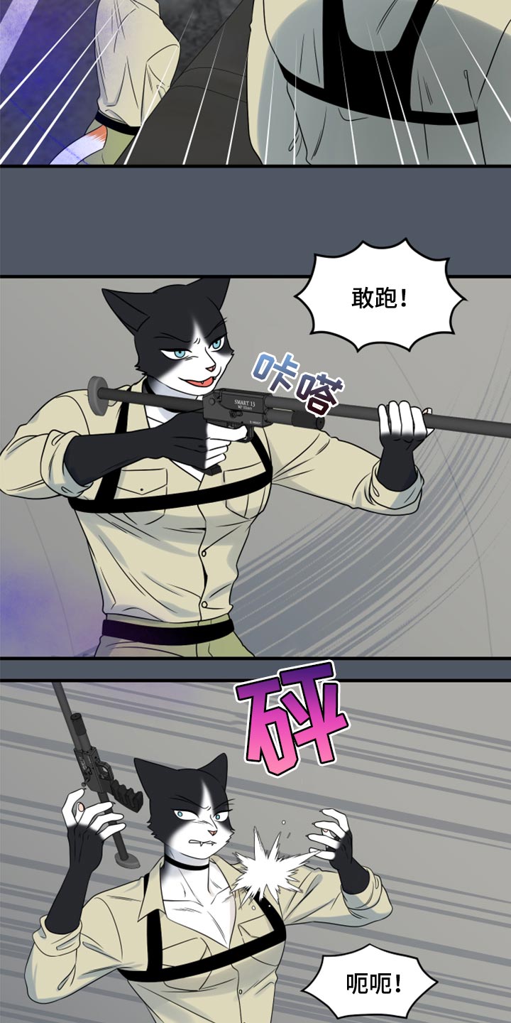 灵猫欧米伽漫画系列漫画,第83章：【第二季】捕猎2图