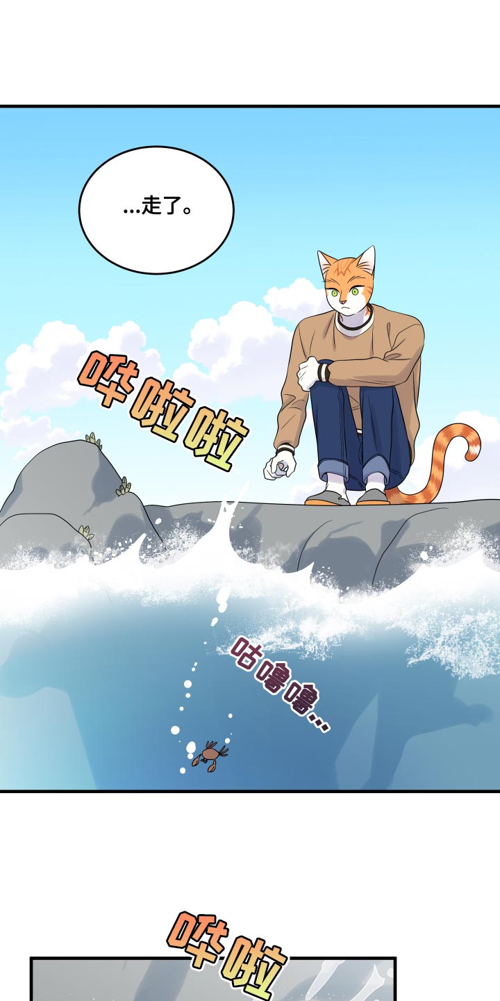 灵猫欧米伽漫画系列漫画,第96章：【第二季】海浪声好吵1图