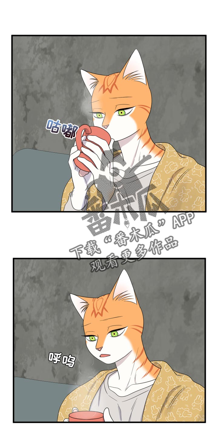 灵猫小说漫画,第89章：【第二季】乱七八糟1图