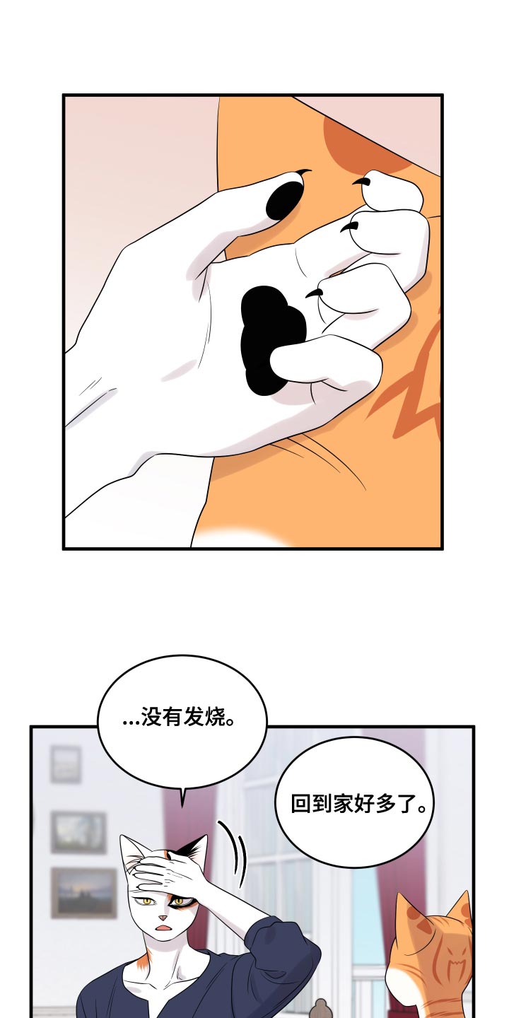 灵猫欧米伽漫画系列漫画,第96章：【第二季】海浪声好吵2图