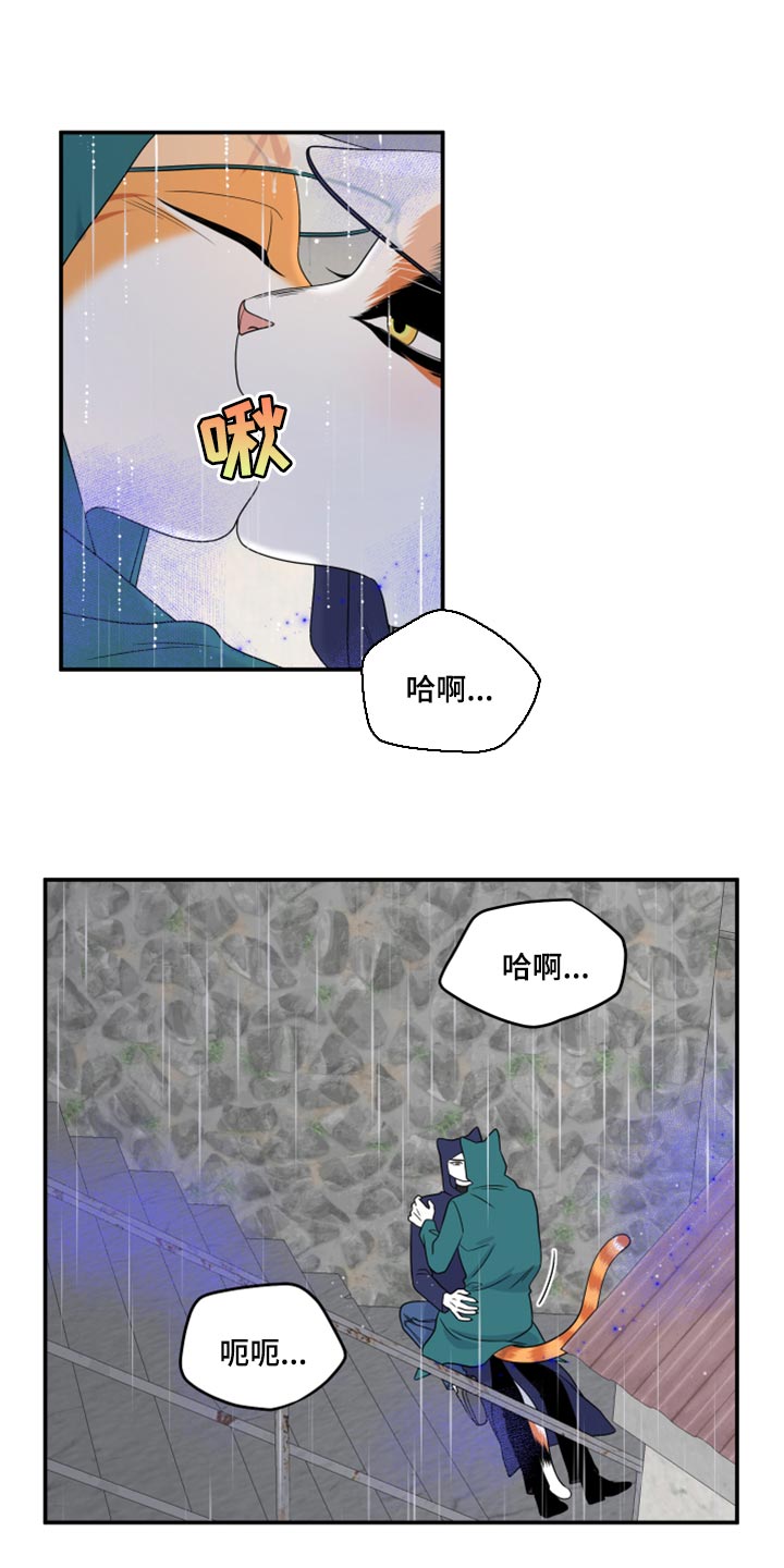 灵猫传汪苏泷漫画,第53章：【第二季】逃跑之路1图