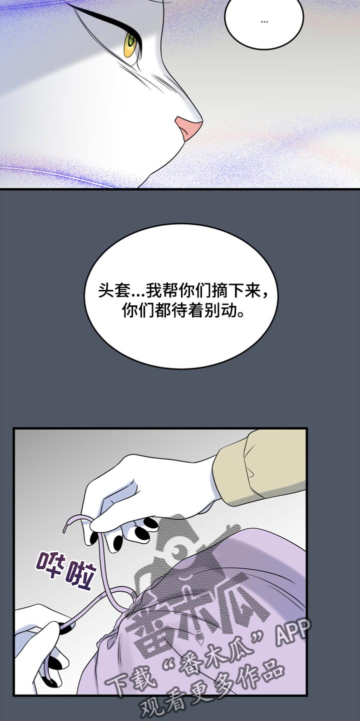 灵猫欧米伽合集漫画,第81章：【第二季】中弹1图
