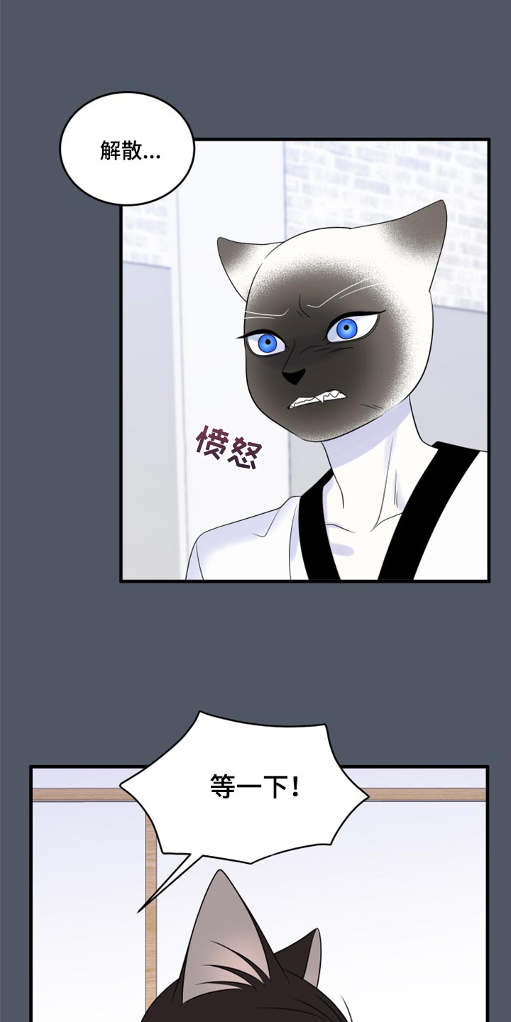 漫画灵猫欧米伽漫画,第76章：【第二季】有什么特别2图