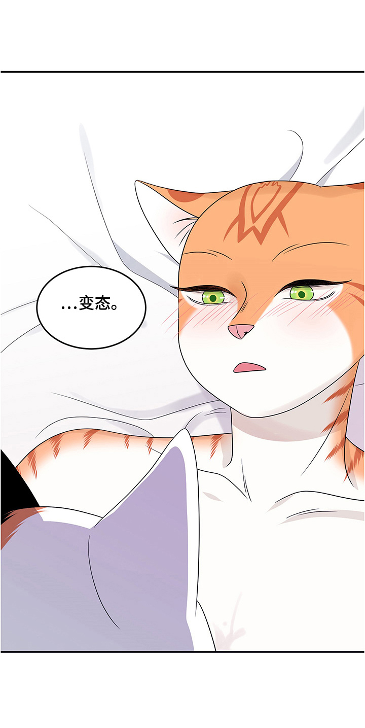 灵猫动画漫画,第12章：义务1图