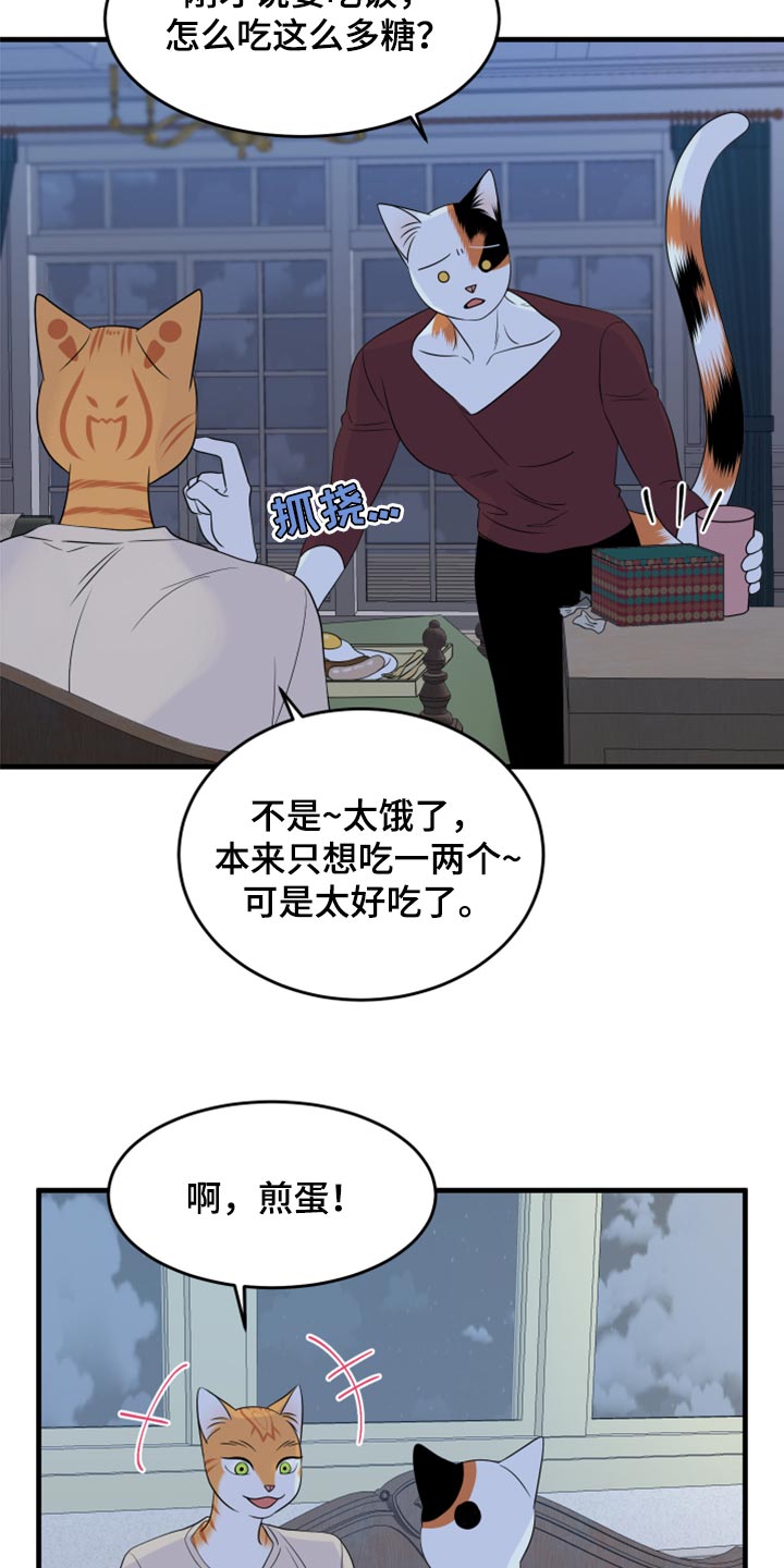 omega猫漫画,第66章：【第二季】你可以放心了1图