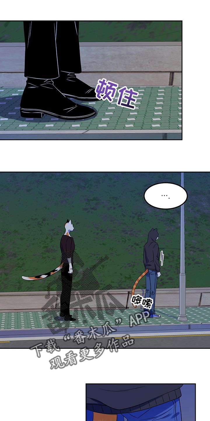 灵猫欧米伽合集漫画,第40章：平凡的生活1图