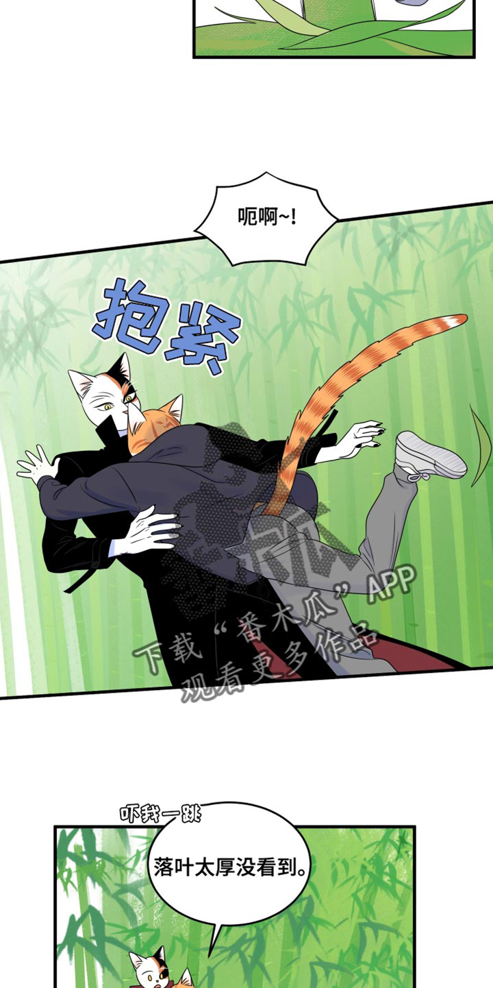 灵猫欧米伽漫画免费阅读漫画,第98章：【第二季】想回去2图