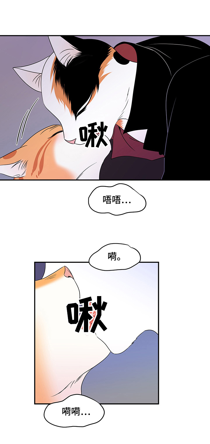 灵猫欧米伽完整版漫画,第3章：送抱1图