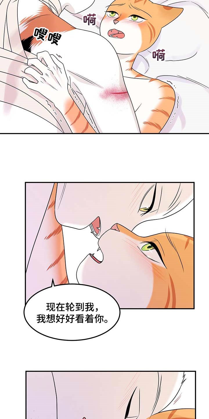 灵猫传陆知也漫画,第47章：好好看着你2图