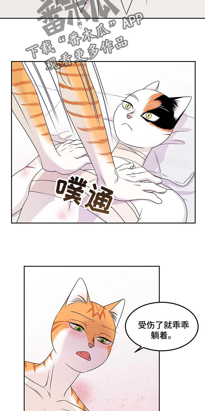 欧米伽3对猫的作用漫画,第46章：征服2图