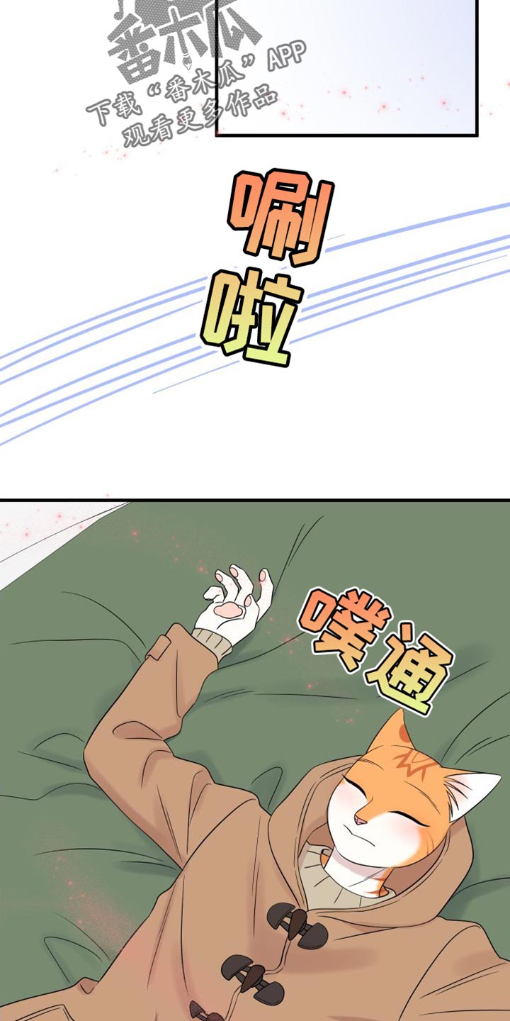 灵猫欧米伽漫画,第104章：【第二季】更重要的事2图