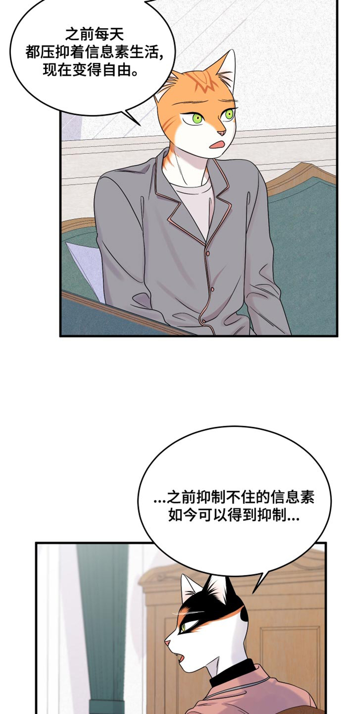 灵猫欧米伽第三季什么时候出漫画,第99章：【第二季】我想离开这1图