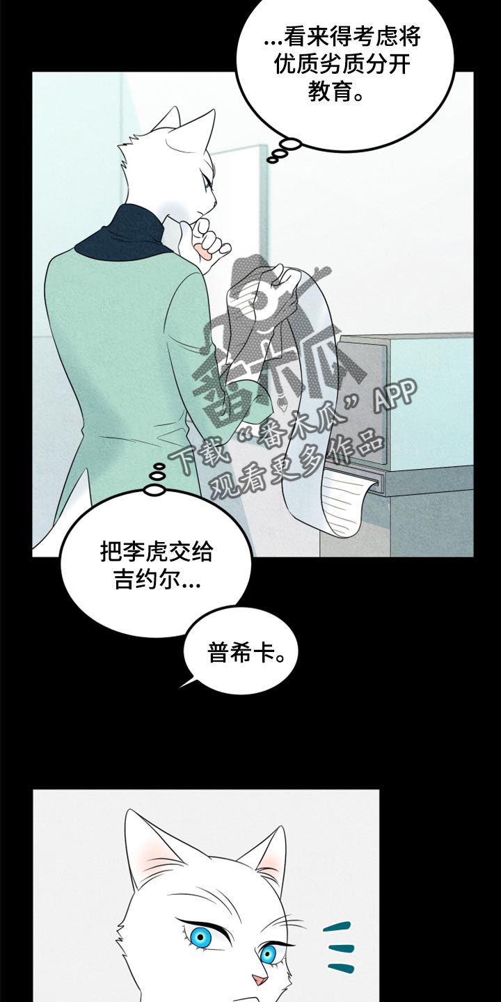 灵猫是什么动物漫画,第70章：【第二季】我想放弃2图