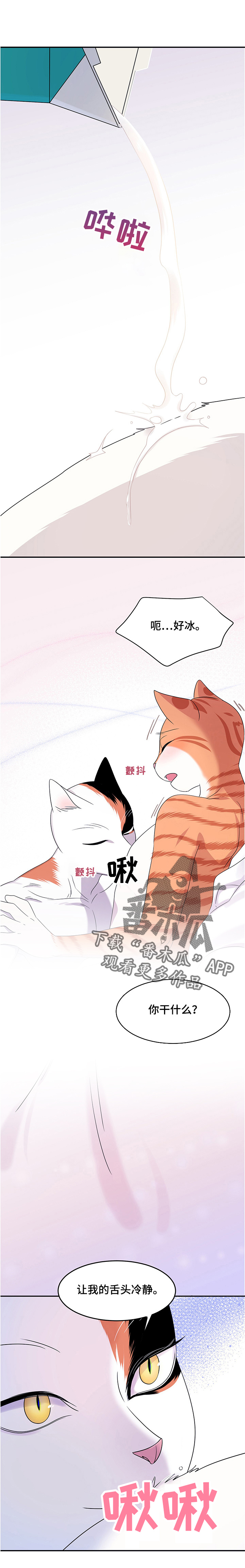 灵猫欧米伽3漫画,第12章：义务2图