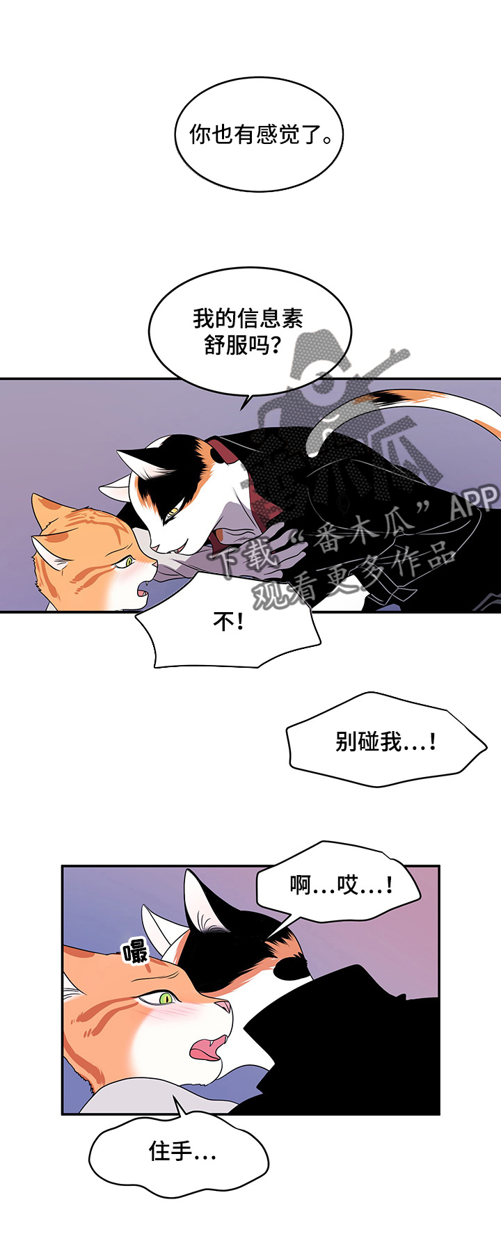 灵猫欧米伽完整版漫画,第3章：送抱2图