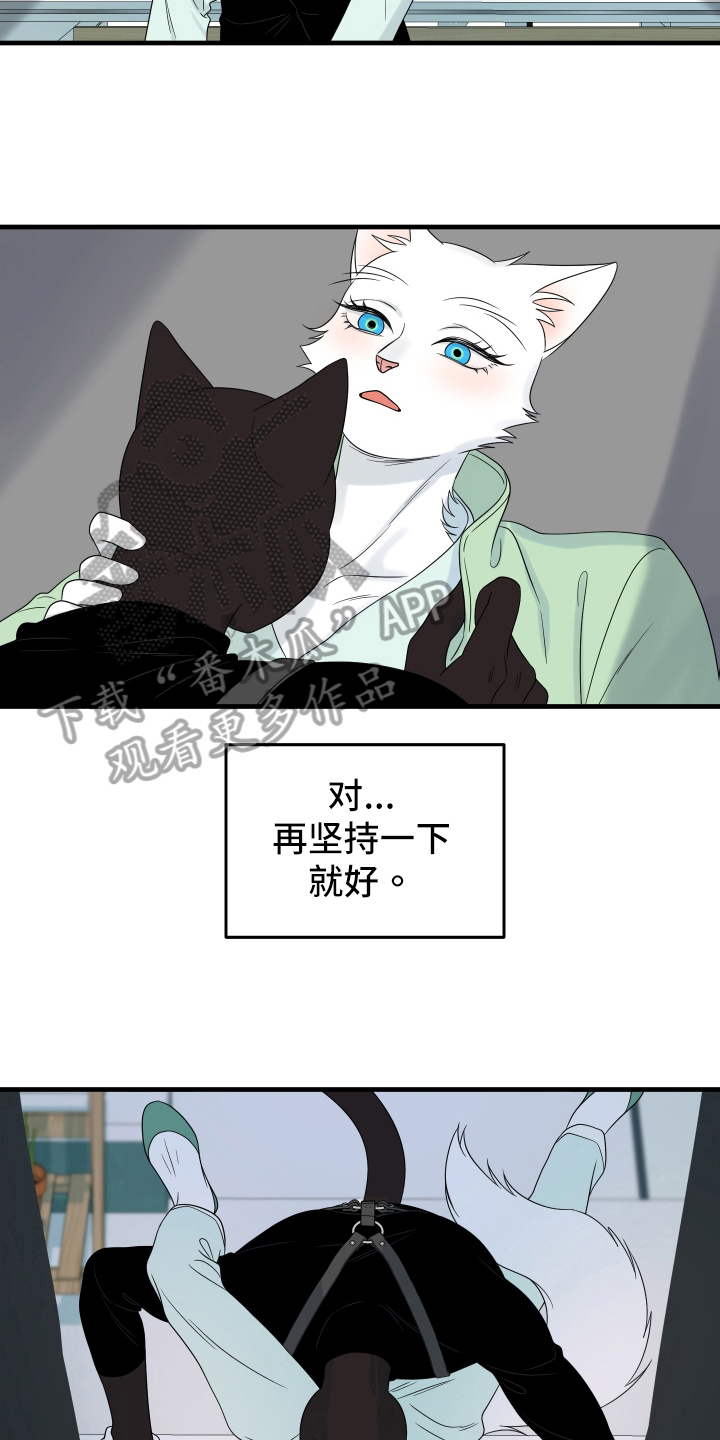 灵猫欧米伽漫画全集免费观看漫画,第107章：【第二季】单纯2图