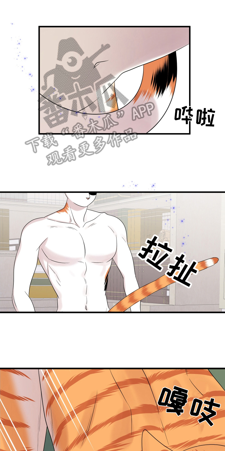 灵猫动画漫画,第105章：【第二季】分析1图