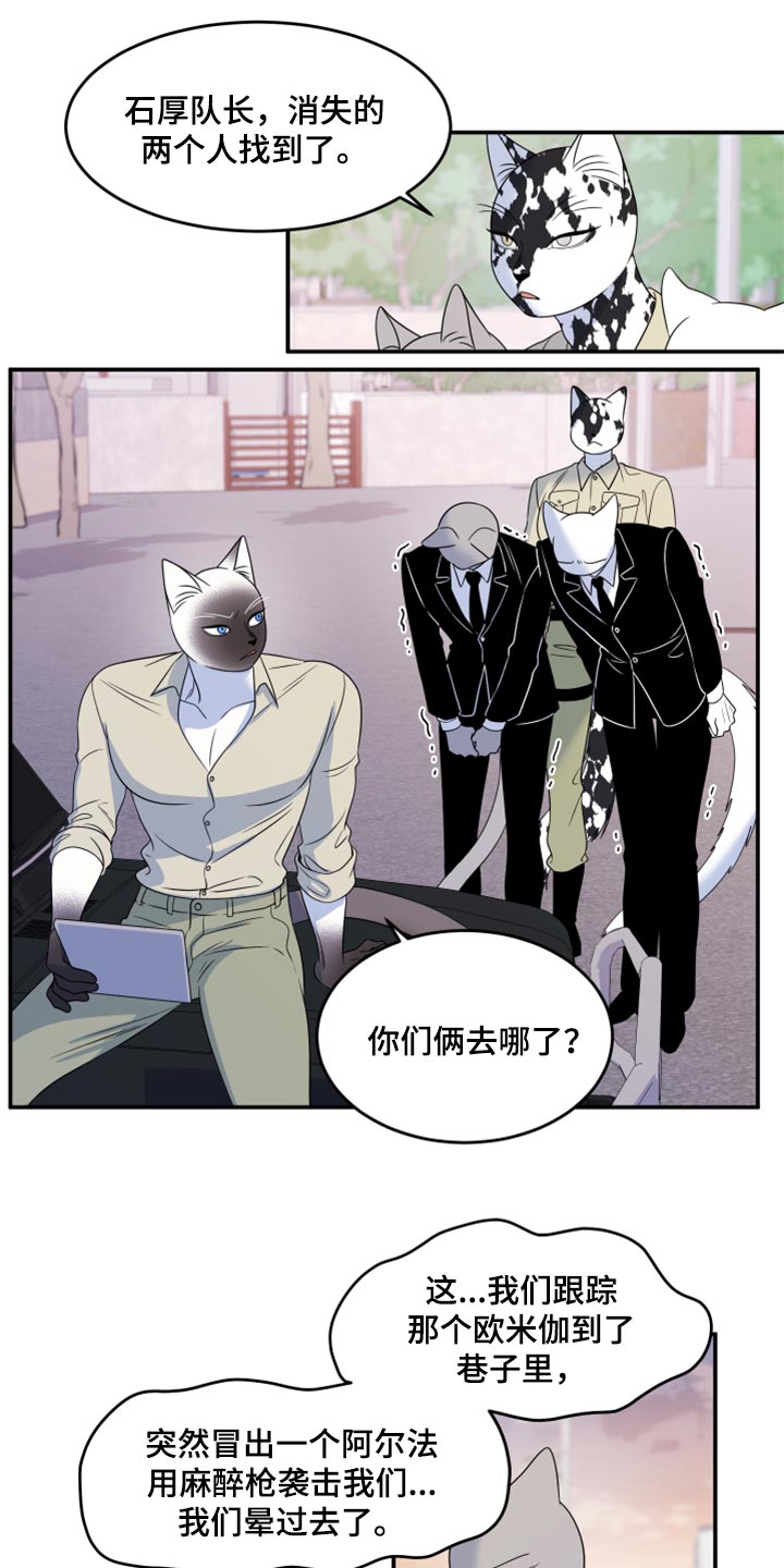 灵猫欧米伽漫画免费漫画,第56章：【第二季】人工阿尔法1图