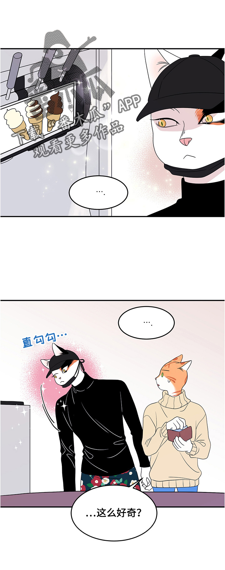 灵猫欧米伽漫画下拉漫画,第10章：期待1图