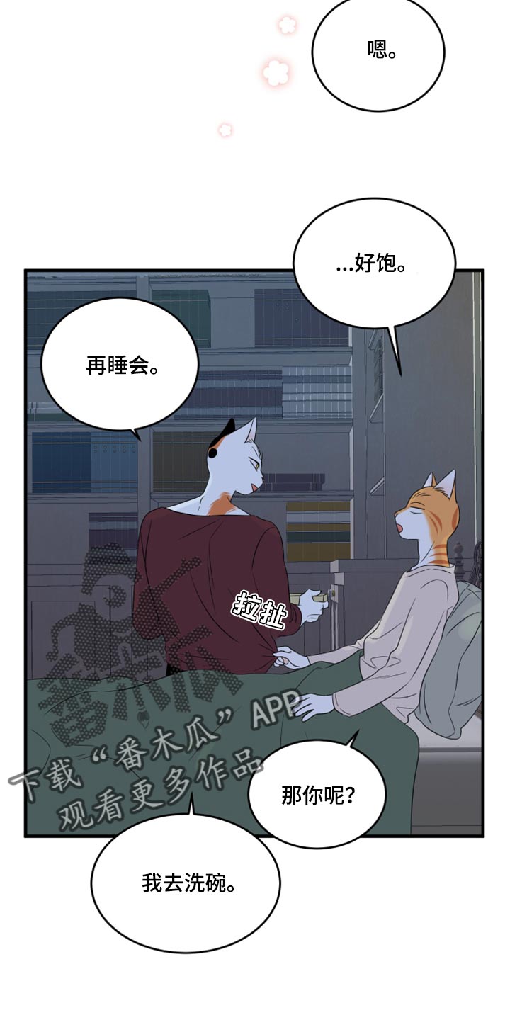 灵猫科和猫科的区别漫画,第67章：【第二季】钓鱼2图