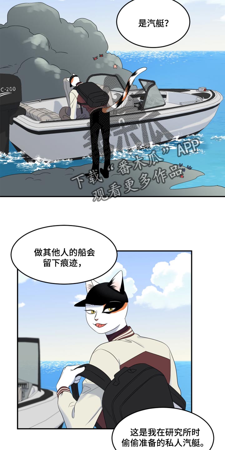 灵猫欧米伽在线观看漫画,第60章：【第二季】失去理智2图