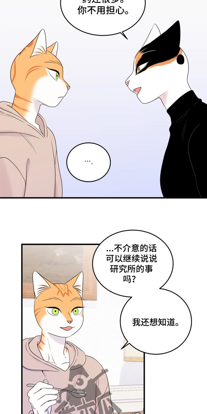 omega猫漫画,第73章：【第二季】绑架灵猫2图