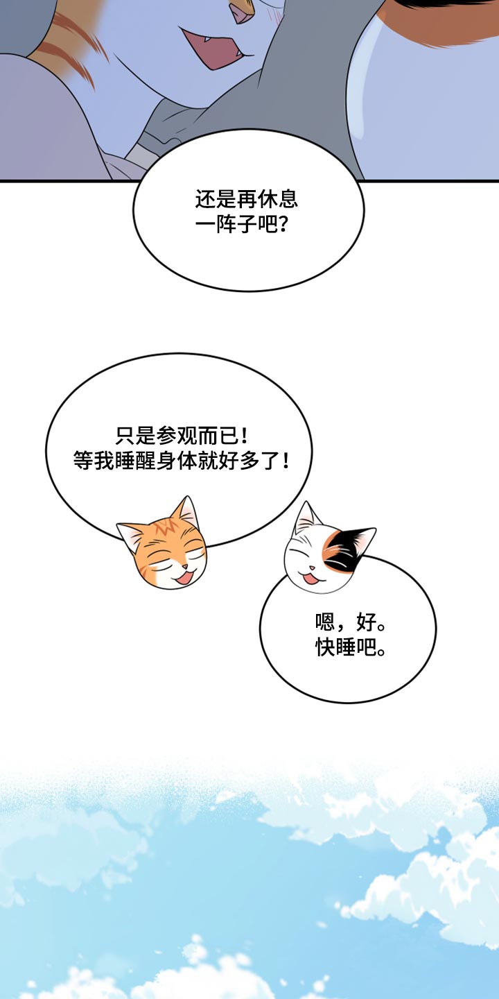 灵猫欧米伽什么时候更新第三季漫画,第67章：【第二季】钓鱼2图