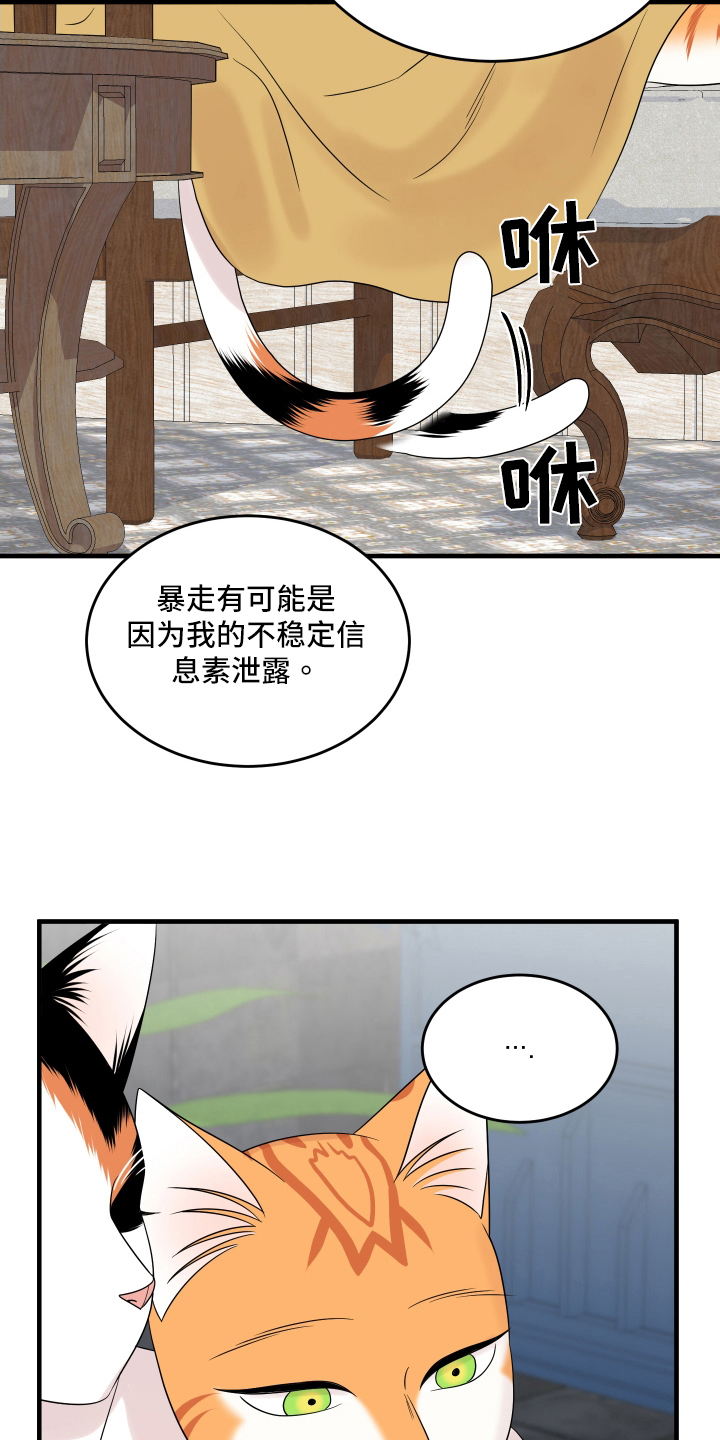 灵猫传手游漫画,第105章：【第二季】分析2图