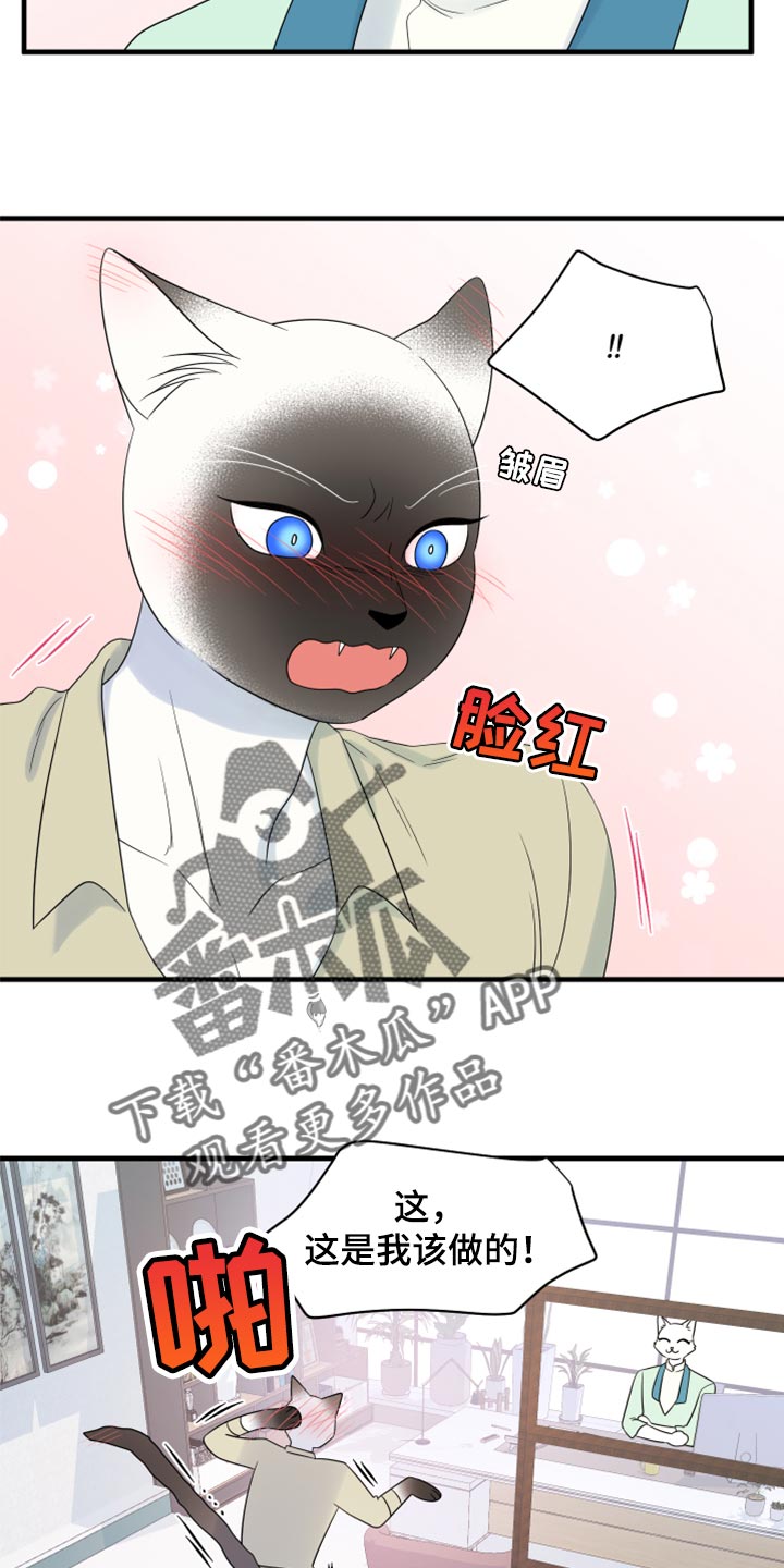 灵猫欧米伽合集漫画,第65章：【第二季】你到底在想什么？2图
