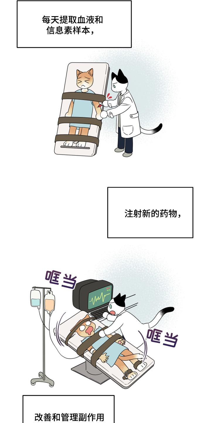 灵猫欧米茄画涯漫画,第57章：【第二季】新来的2图