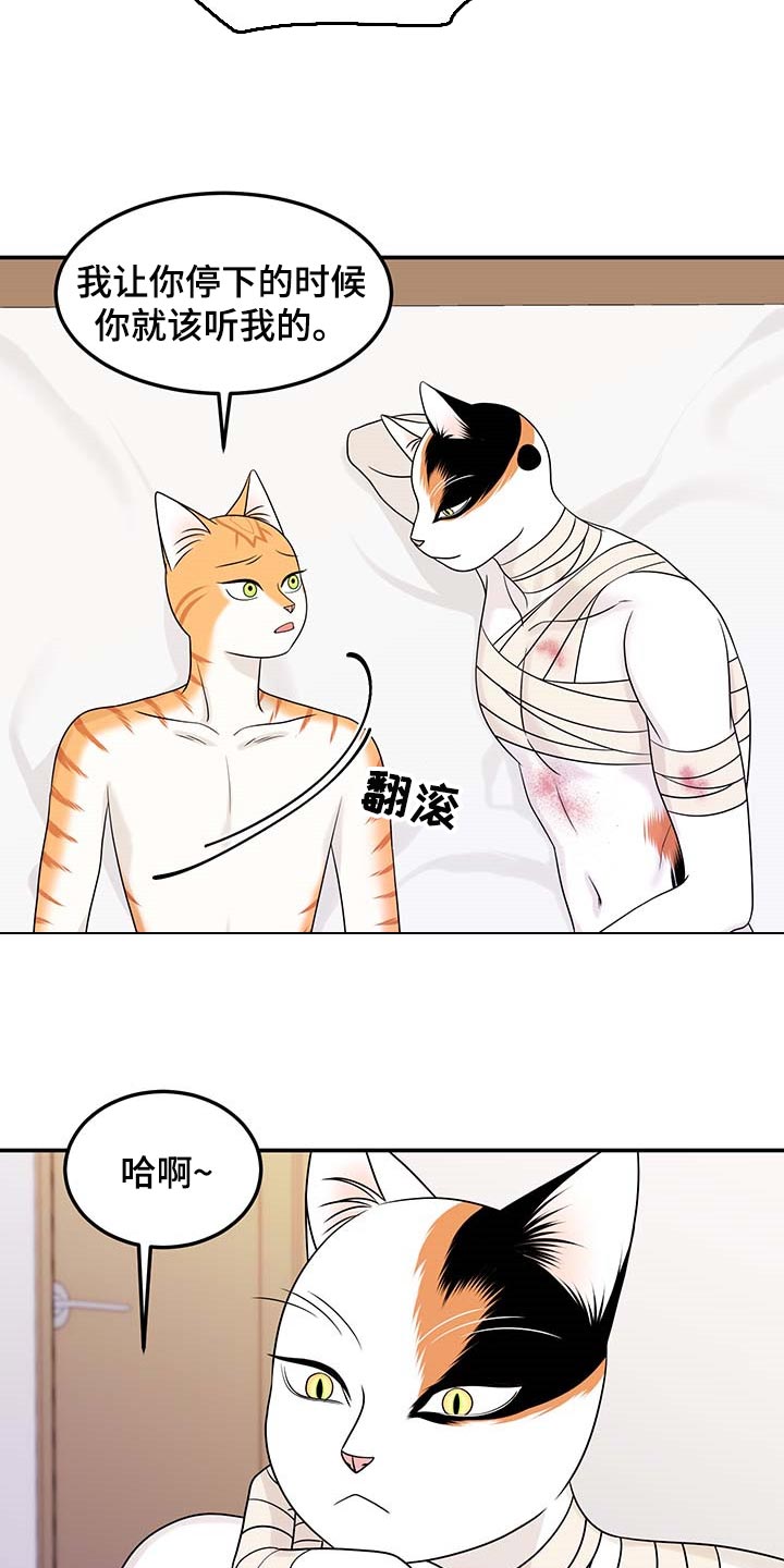 灵猫科和猫科的区别漫画,第48章：你慢慢考虑1图