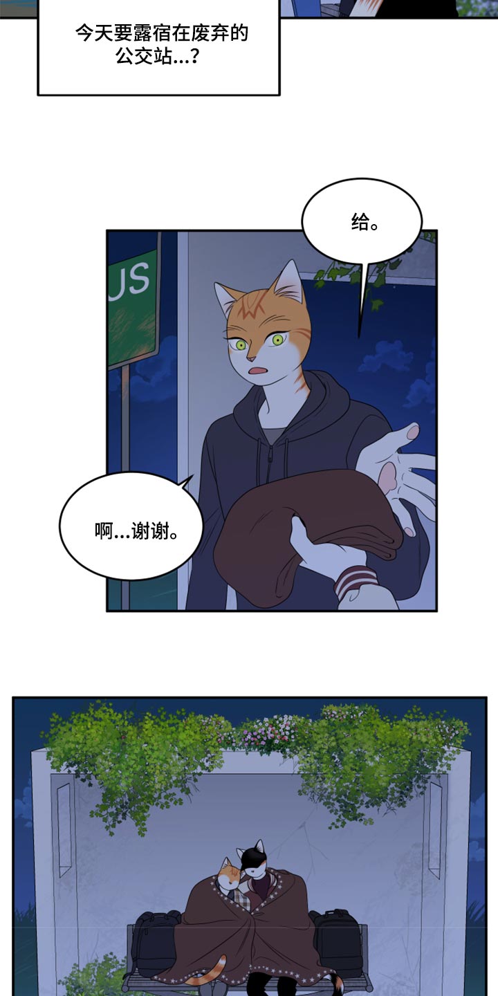 灵猫欧米伽漫画免费看漫画,第59章：【第二季】离开1图