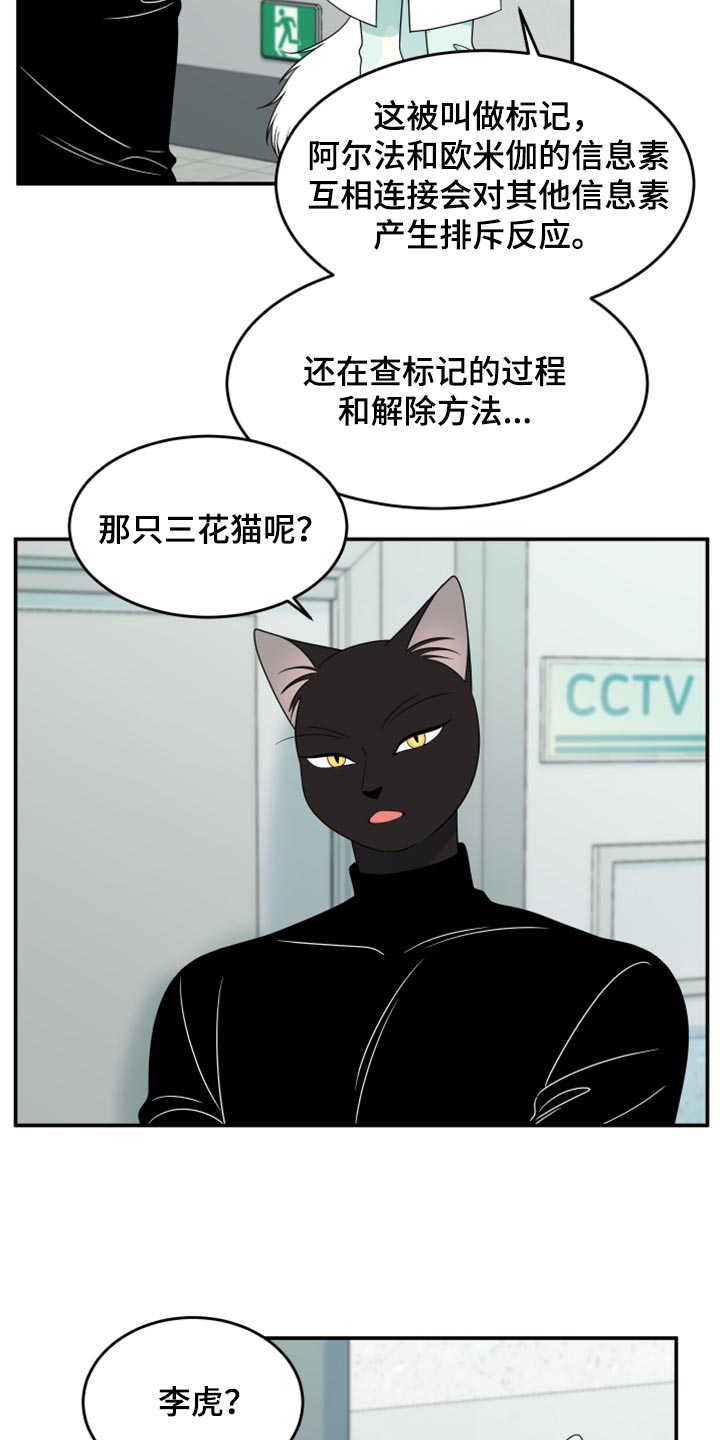 灵猫欧米伽什么时候更新漫画,第58章：【第二季】总有一天会回来1图