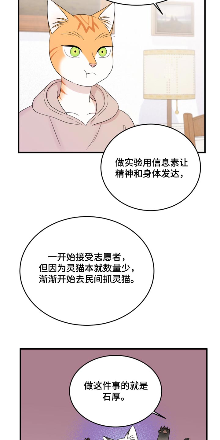 omega猫漫画,第73章：【第二季】绑架灵猫2图