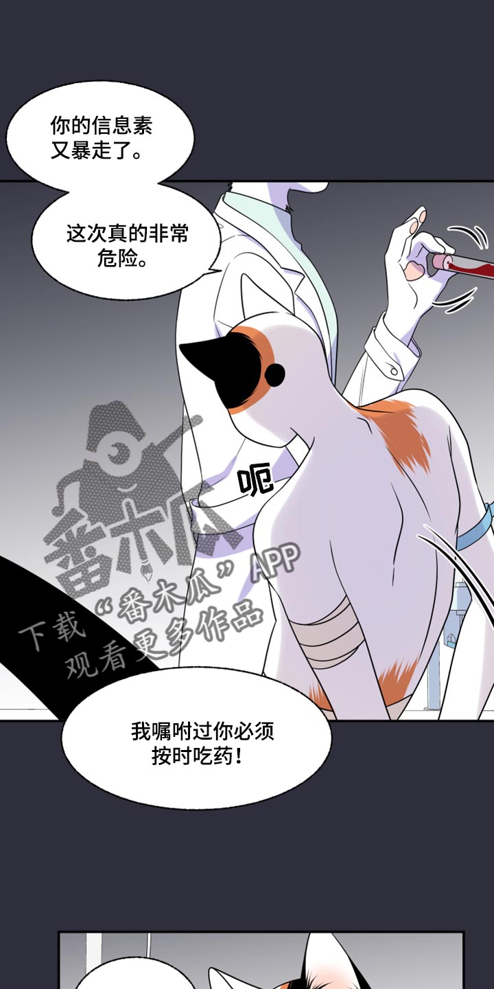 灵猫科和猫科的区别漫画,第52章：我的人生我做主（第一季完结）2图