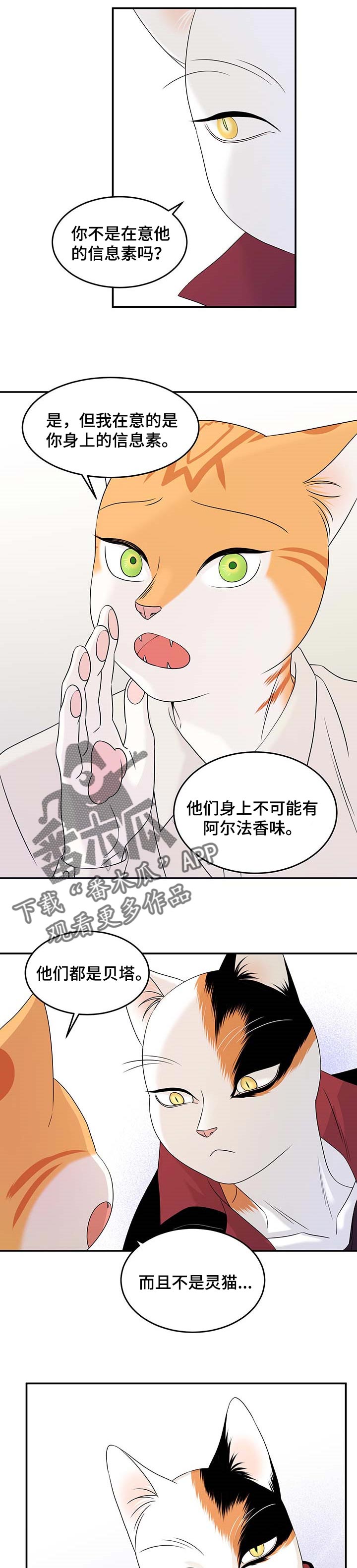 灵猫欧米伽漫蛙叫什么漫画,第24章：可惜1图