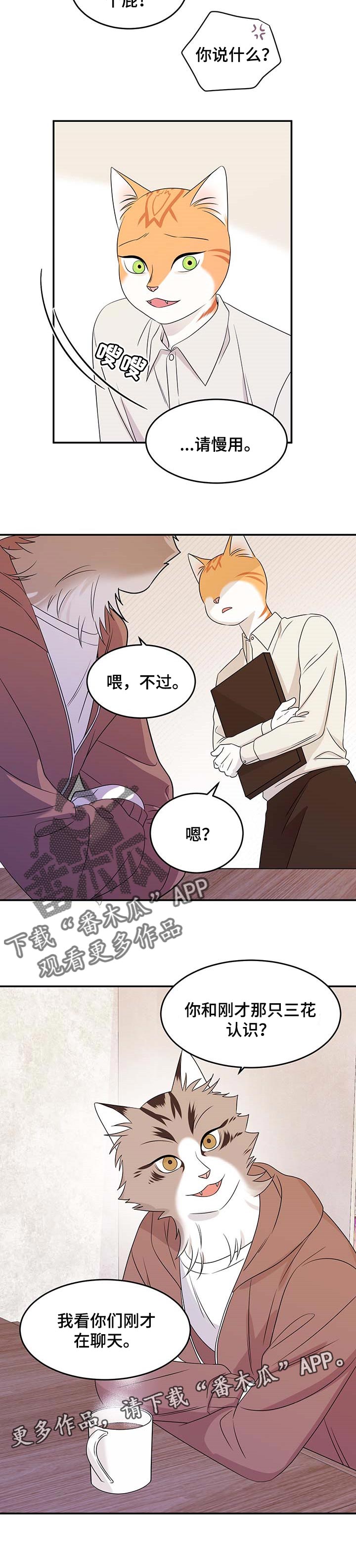 灵猫欧米伽免费阅读漫画,第24章：可惜2图